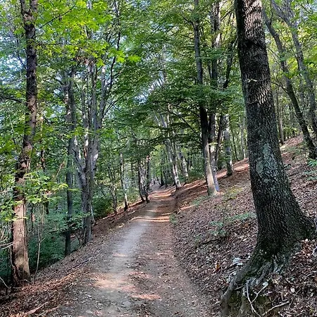 Дом отдыха La Dolce Массино-Висконти