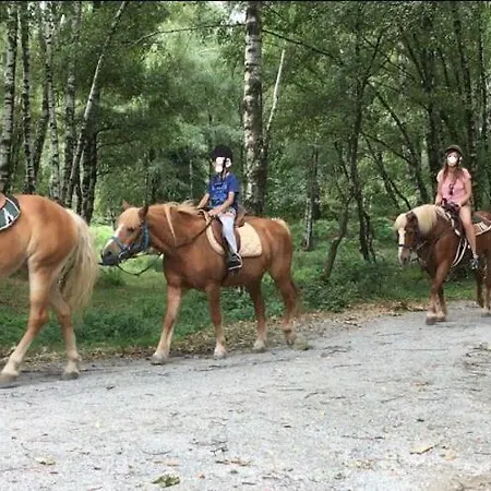 La Dolce Massino Visconti