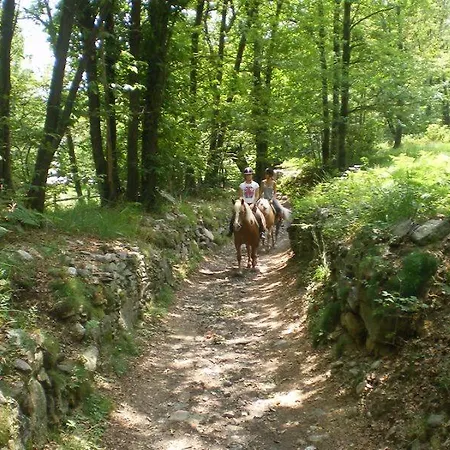 Дом отдыха La Dolce