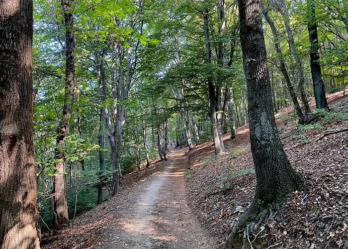 Сasa de vacaciones La Dolce Massino Visconti