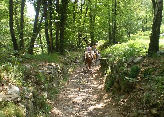 Сasa de vacaciones La Dolce